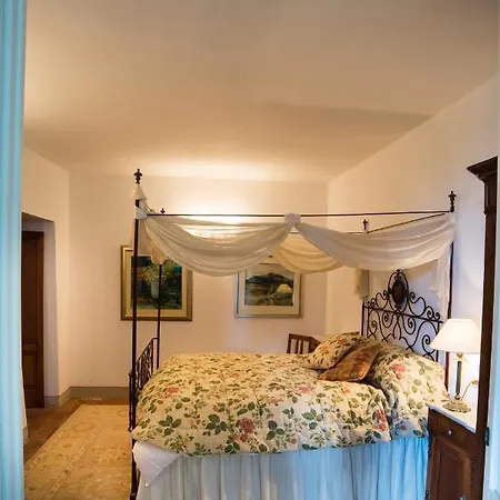 Mori Monsummano Terme