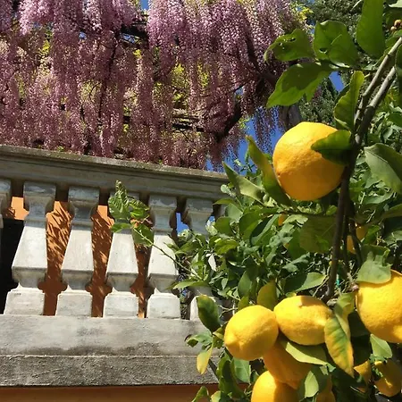 Bed & Breakfast Mori Monsummano Terme